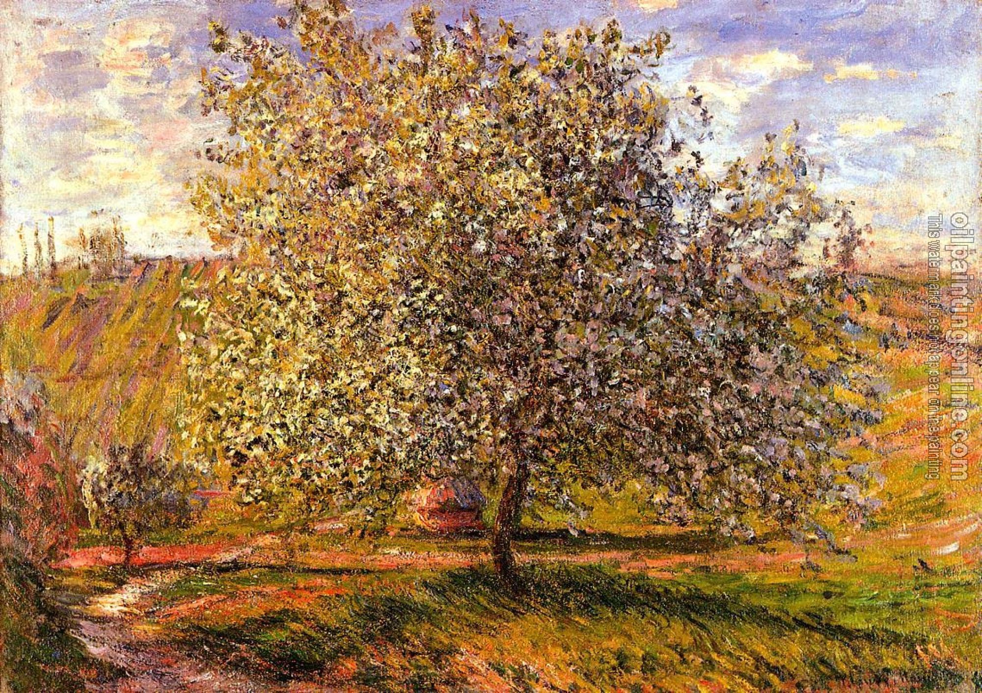 Monet, Claude Oscar - Tree in Flower near Vetheuil